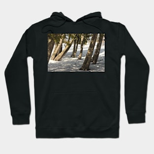 For The Love Of Trees - 1 © Hoodie